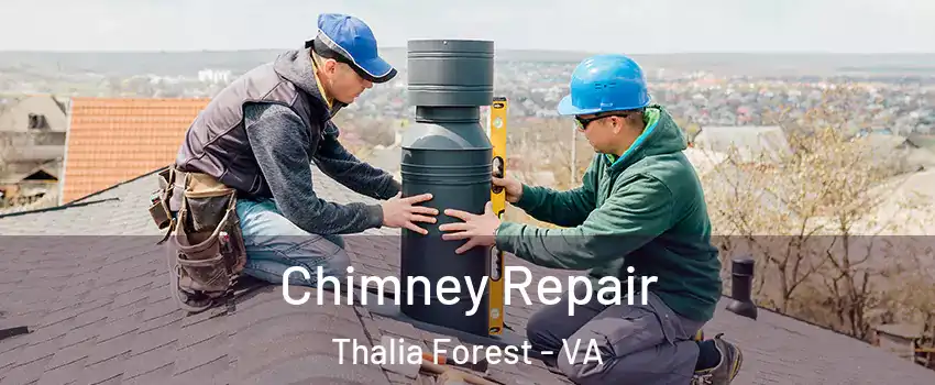 Chimney Repair Thalia Forest - VA