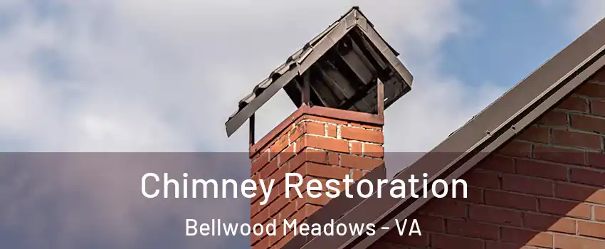 Chimney Restoration Bellwood Meadows - VA