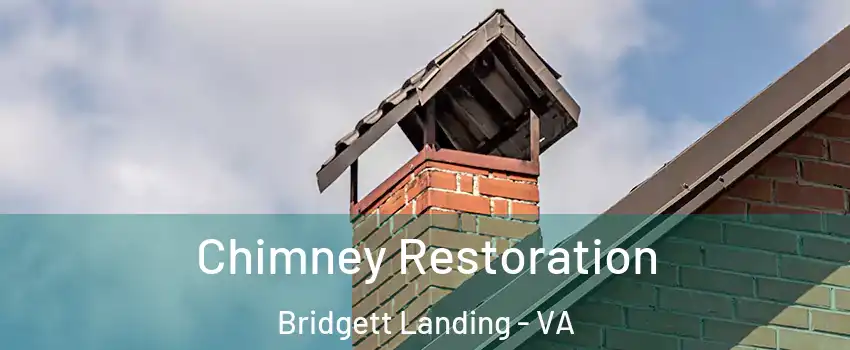 Chimney Restoration Bridgett Landing - VA