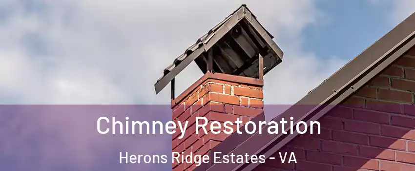 Chimney Restoration Herons Ridge Estates - VA