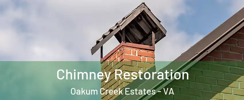 Chimney Restoration Oakum Creek Estates - VA