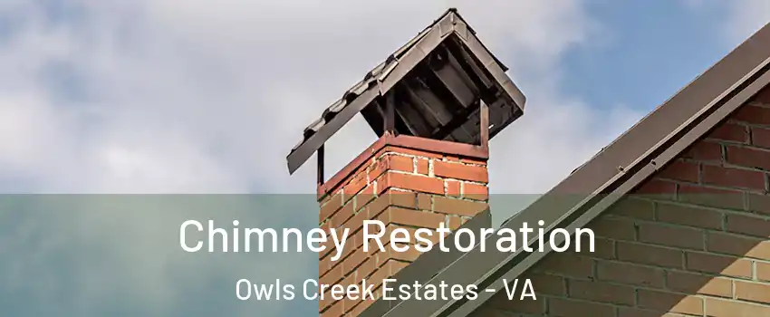 Chimney Restoration Owls Creek Estates - VA