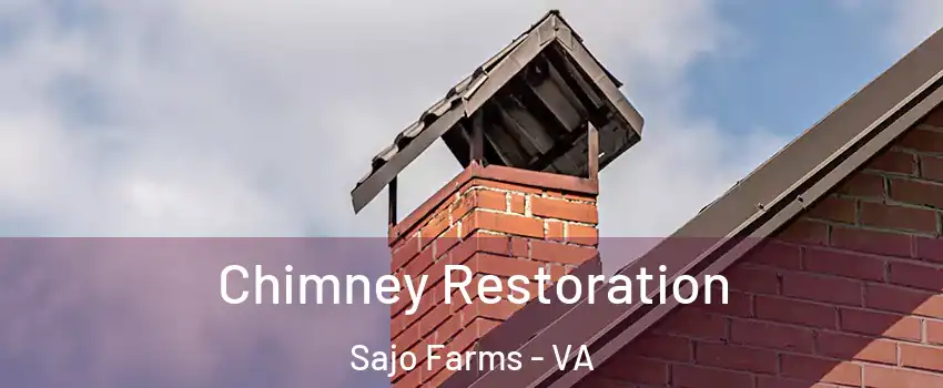 Chimney Restoration Sajo Farms - VA