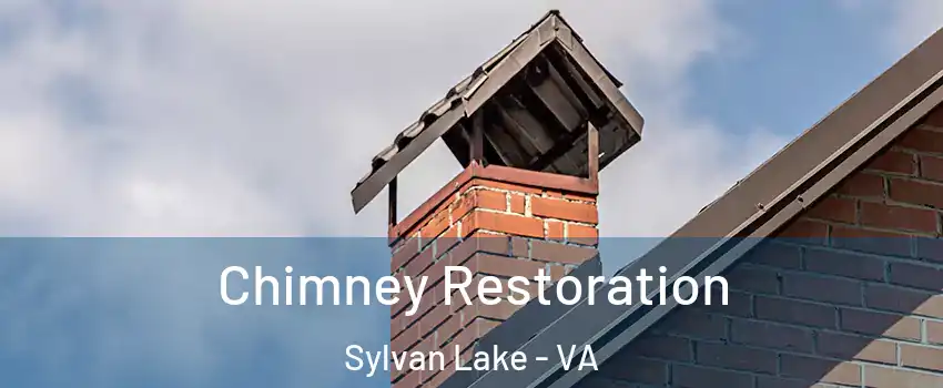 Chimney Restoration Sylvan Lake - VA