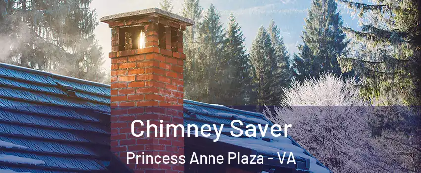 Chimney Saver Princess Anne Plaza - VA