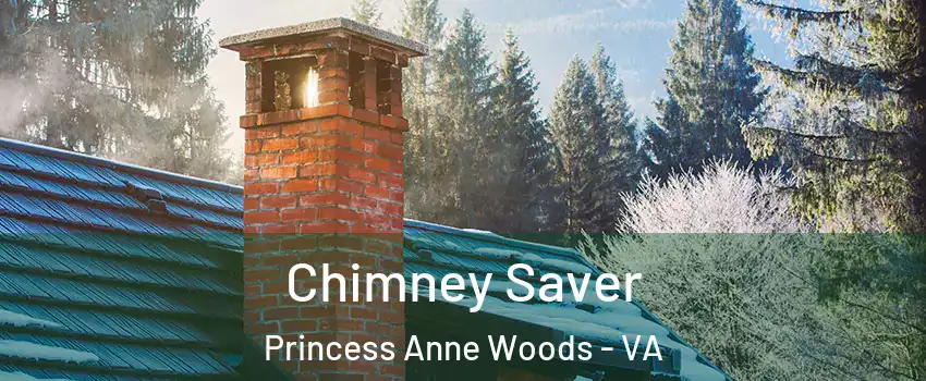 Chimney Saver Princess Anne Woods - VA