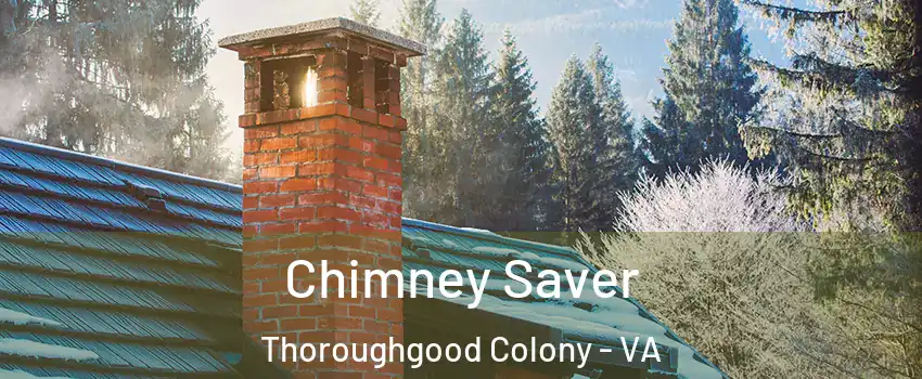 Chimney Saver Thoroughgood Colony - VA