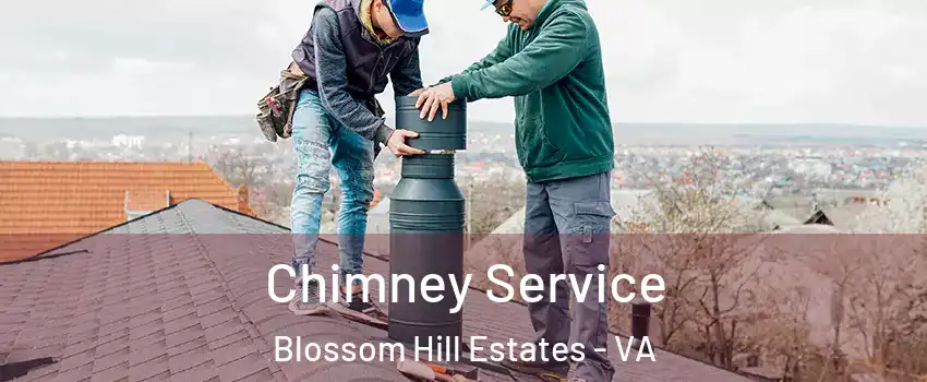 Chimney Service Blossom Hill Estates - VA