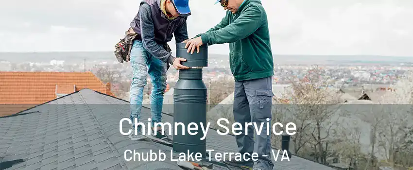 Chimney Service Chubb Lake Terrace - VA