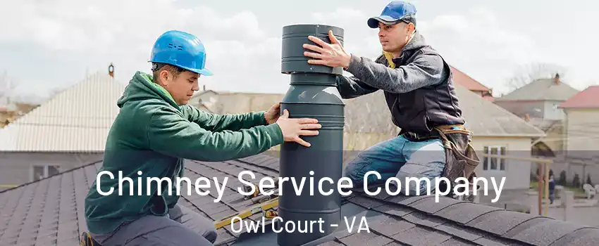 Chimney Service Company Owl Court - VA