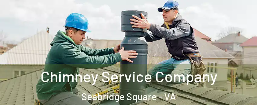 Chimney Service Company Seabridge Square - VA