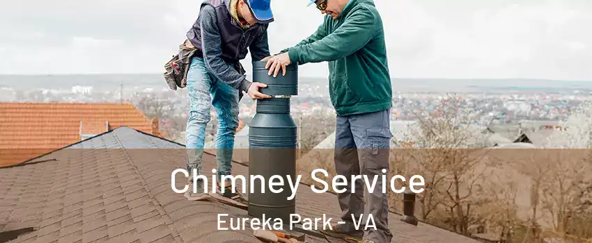 Chimney Service Eureka Park - VA