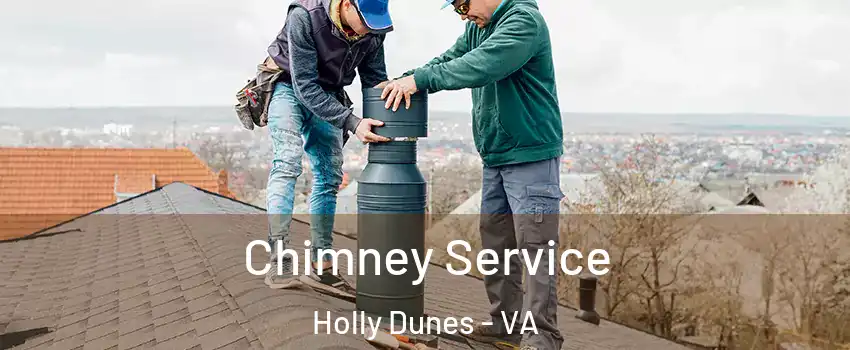 Chimney Service Holly Dunes - VA