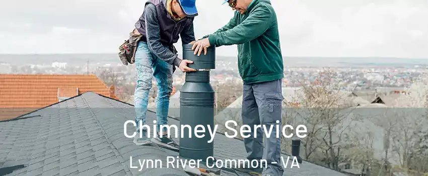 Chimney Service Lynn River Common - VA
