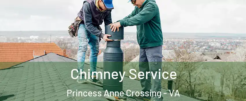 Chimney Service Princess Anne Crossing - VA