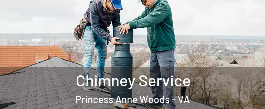 Chimney Service Princess Anne Woods - VA