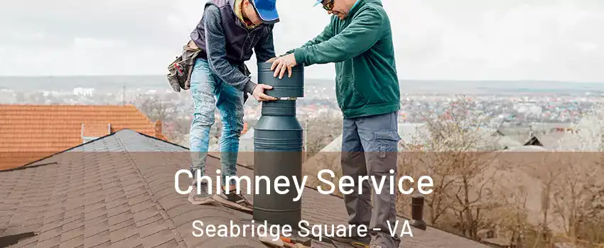 Chimney Service Seabridge Square - VA