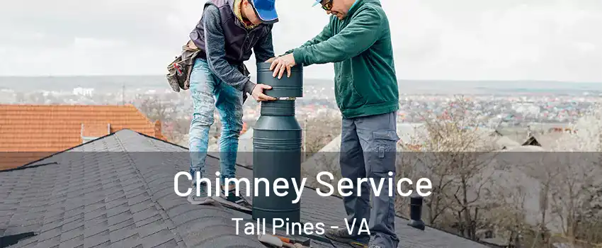 Chimney Service Tall Pines - VA