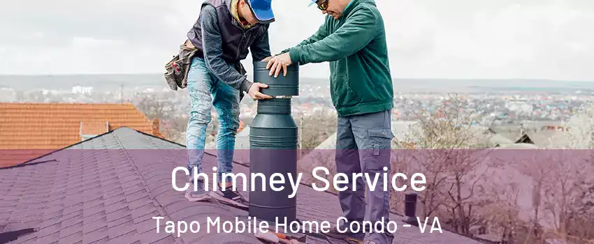 Chimney Service Tapo Mobile Home Condo - VA