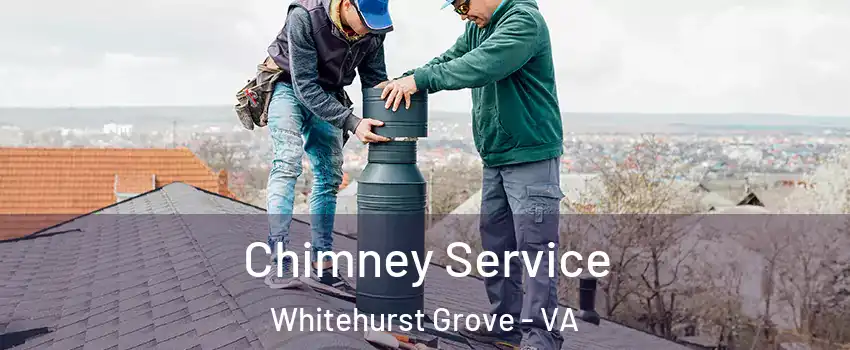 Chimney Service Whitehurst Grove - VA