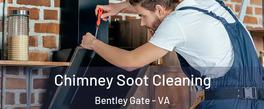 Chimney Soot Cleaning Bentley Gate - VA