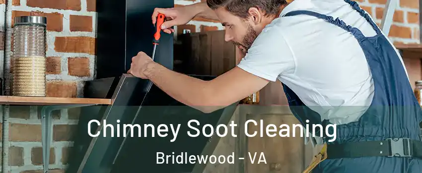 Chimney Soot Cleaning Bridlewood - VA