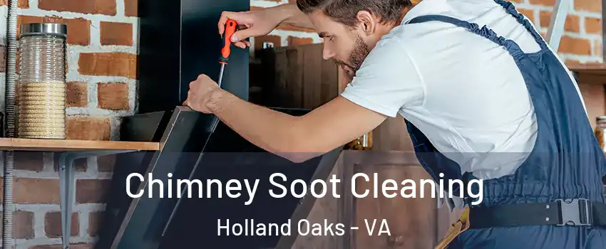 Chimney Soot Cleaning Holland Oaks - VA