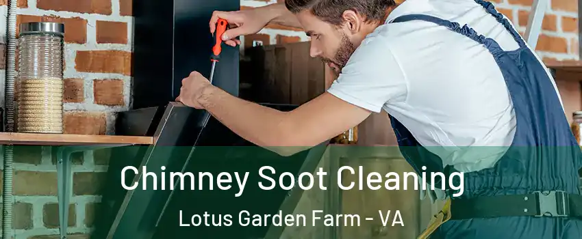 Chimney Soot Cleaning Lotus Garden Farm - VA