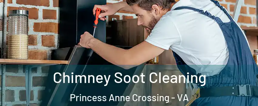 Chimney Soot Cleaning Princess Anne Crossing - VA