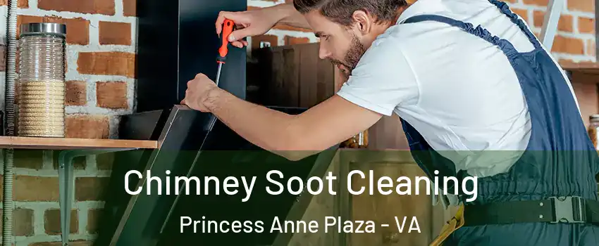 Chimney Soot Cleaning Princess Anne Plaza - VA