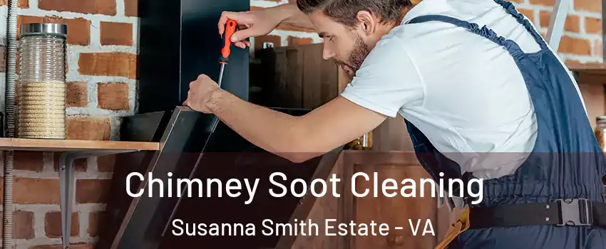 Chimney Soot Cleaning Susanna Smith Estate - VA