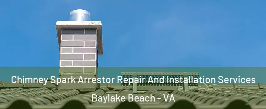 Chimney Spark Arrestor Repair And Installation Services Baylake Beach - VA