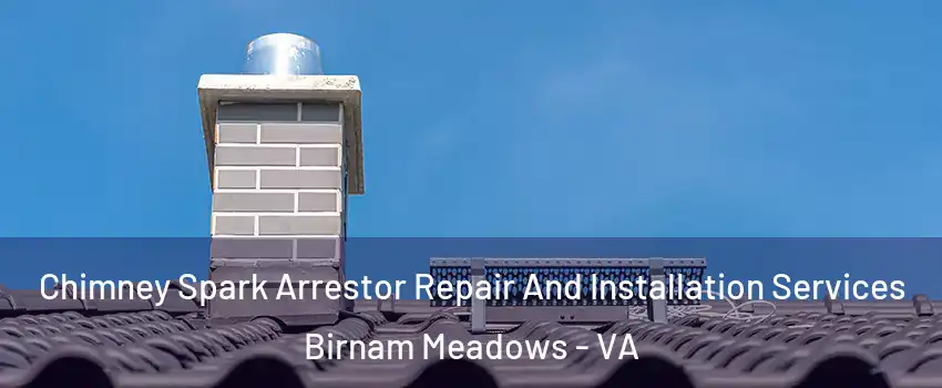 Chimney Spark Arrestor Repair And Installation Services Birnam Meadows - VA