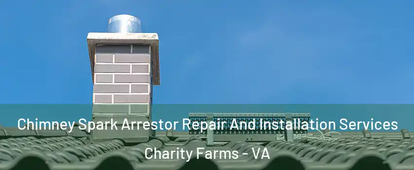 Chimney Spark Arrestor Repair And Installation Services Charity Farms - VA