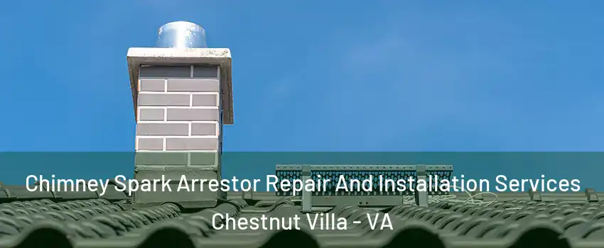 Chimney Spark Arrestor Repair And Installation Services Chestnut Villa - VA