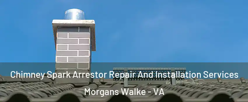 Chimney Spark Arrestor Repair And Installation Services Morgans Walke - VA