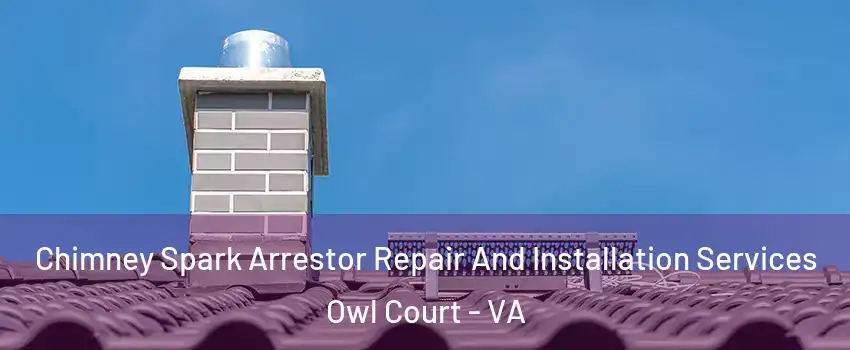 Chimney Spark Arrestor Repair And Installation Services Owl Court - VA