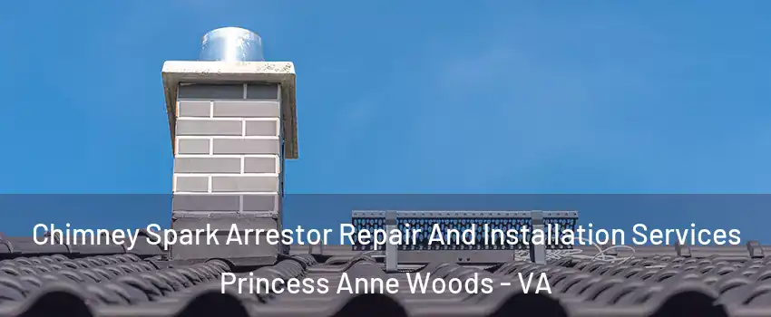 Chimney Spark Arrestor Repair And Installation Services Princess Anne Woods - VA