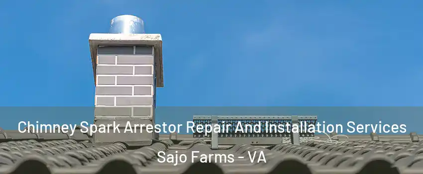 Chimney Spark Arrestor Repair And Installation Services Sajo Farms - VA