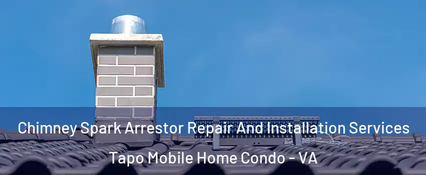 Chimney Spark Arrestor Repair And Installation Services Tapo Mobile Home Condo - VA