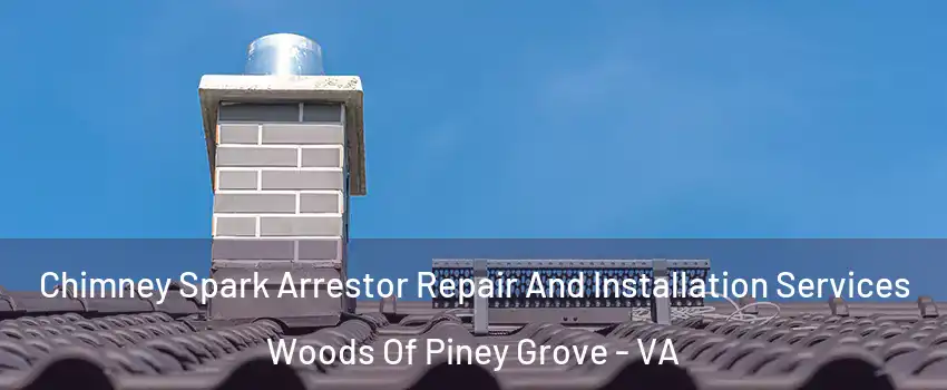 Chimney Spark Arrestor Repair And Installation Services Woods Of Piney Grove - VA