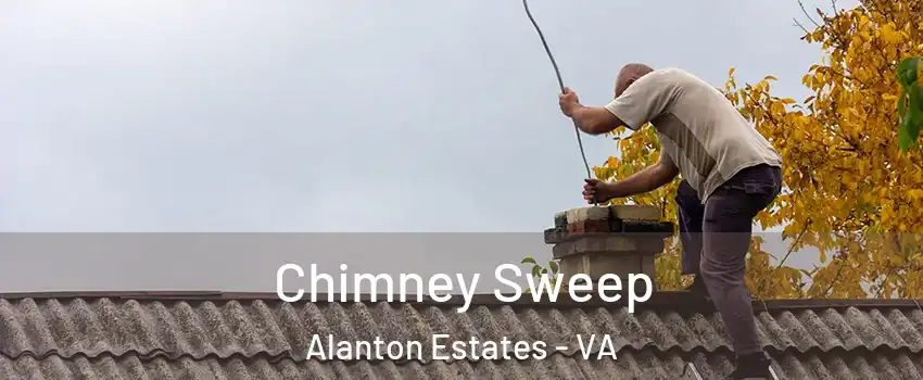 Chimney Sweep Alanton Estates - VA