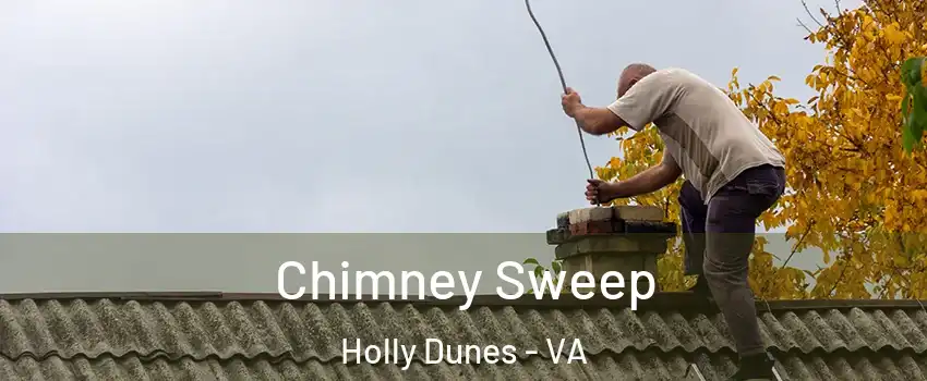 Chimney Sweep Holly Dunes - VA