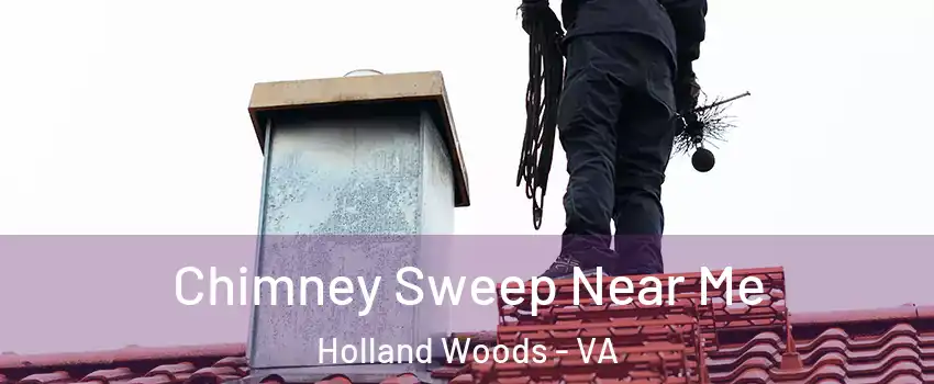 Chimney Sweep Near Me Holland Woods - VA