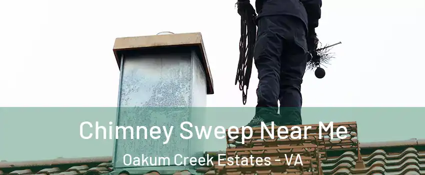 Chimney Sweep Near Me Oakum Creek Estates - VA