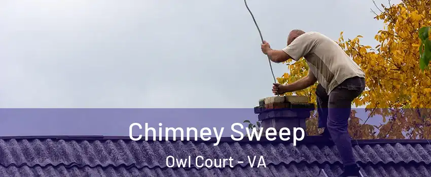 Chimney Sweep Owl Court - VA