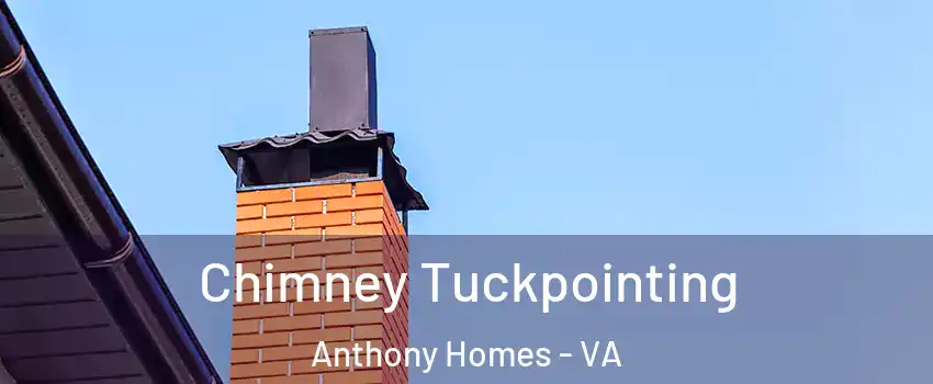 Chimney Tuckpointing Anthony Homes - VA