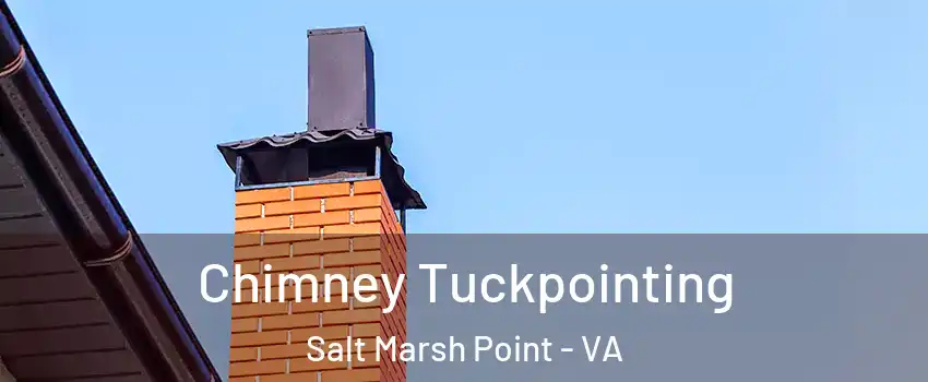 Chimney Tuckpointing Salt Marsh Point - VA