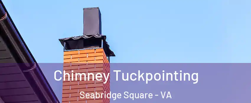 Chimney Tuckpointing Seabridge Square - VA