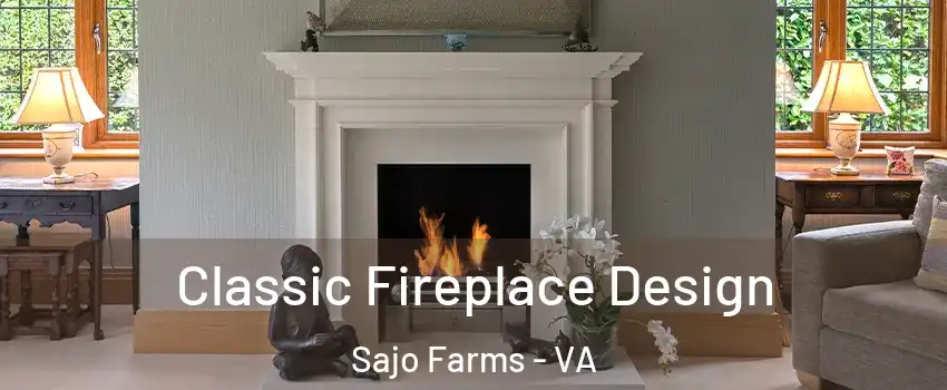 Classic Fireplace Design Sajo Farms - VA